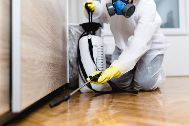 Best Pest Inspection Near Me  in Three Way, TN
