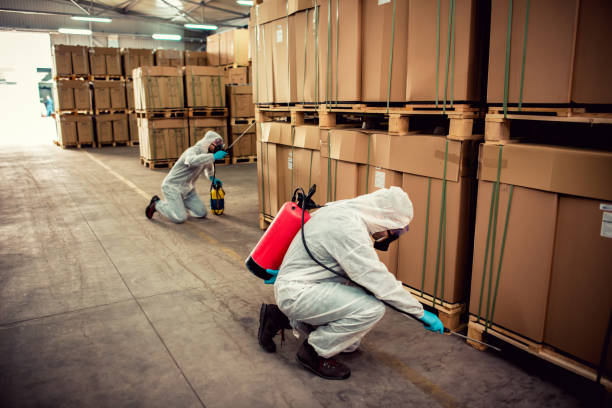 Best Wildlife Control Services  in Three Way, TN