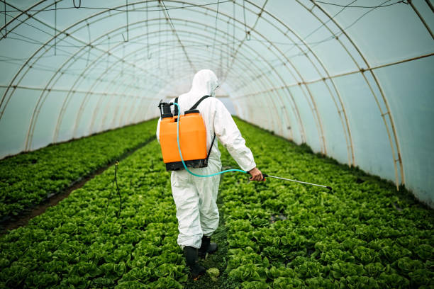 Best Best Pest Control Companies  in Three Way, TN