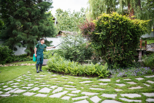 Best Wasp Removal Services  in Three Way, TN