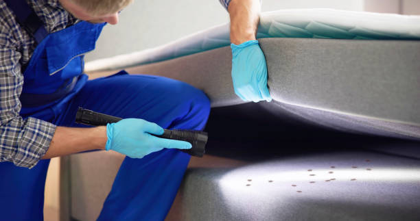 Best Commercial Pest Control Services  in Three Way, TN