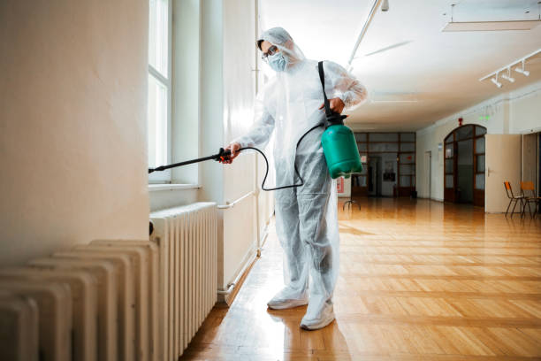 Best Flea Control Services  in Three Way, TN