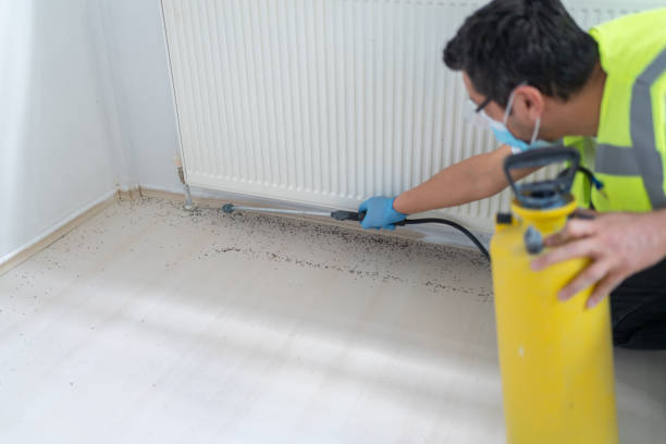 Best Affordable Pest Control Services  in Three Way, TN